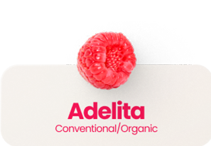 Adelita Conventional/Organic