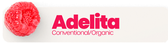 Adelita Conventional/Organic