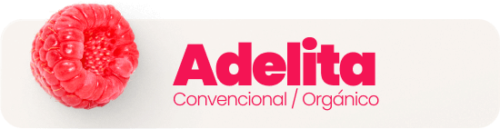 Adelita Conventional/Organic