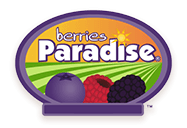 Berries Paradise