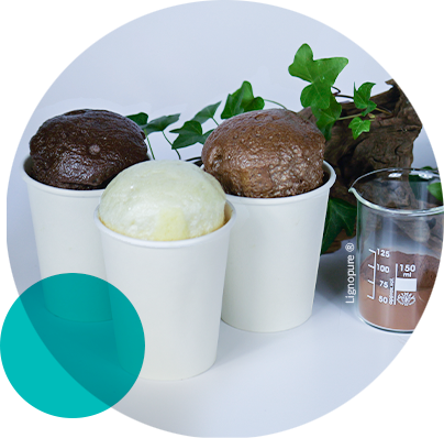 Lignin-based Solutions imagen 2