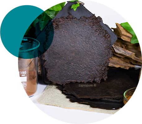 Lignin-based Solutions imagen 4
