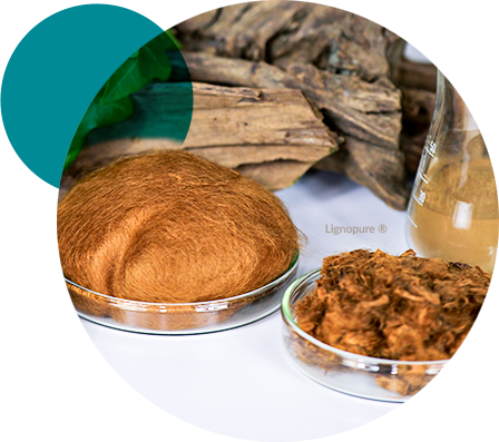 Lignin-based Solutions imagen 5