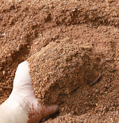 lignin-01