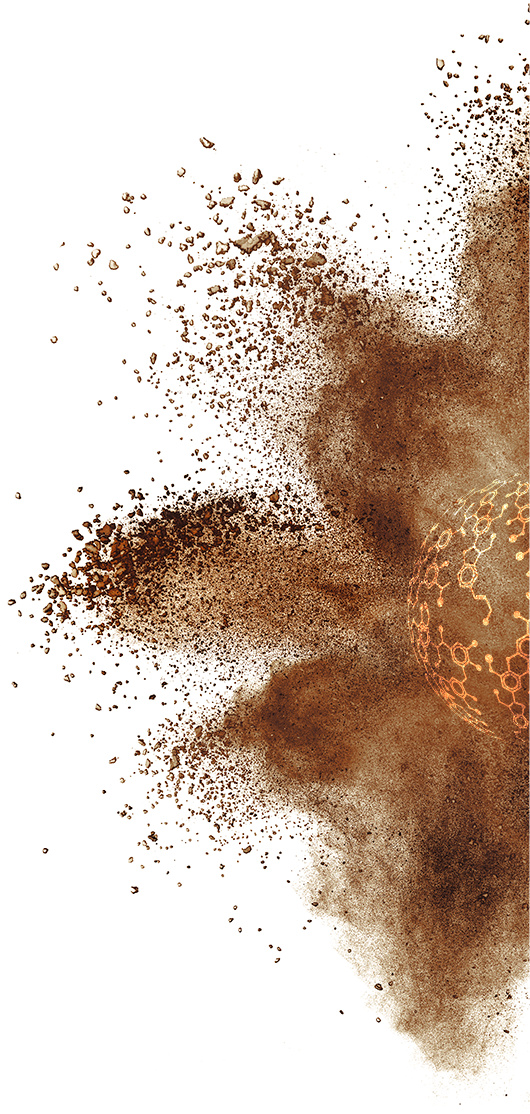 imagen 1-lignin bases solutions